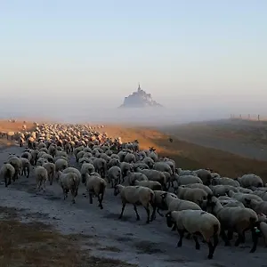  Hébergement de vacances L'hirondelle France